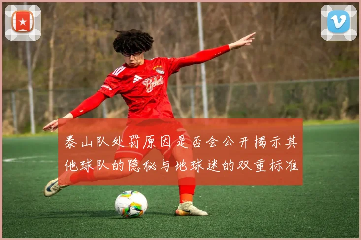 泰山队处罚原因是否会公开揭示其他球队的隐秘与地球迷的双重标准